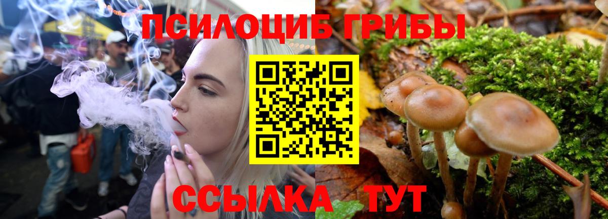 Галлюциногенные грибы Magic Shrooms  Вход с VPN  Галлюциногенные грибы ЛСД  Учалы 