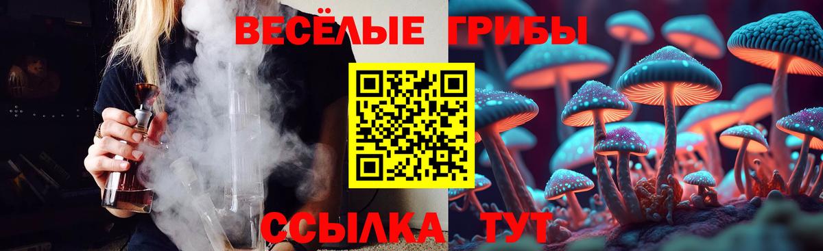 Псилоцибиновые грибы Cubensis Учалы